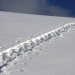 'Spuren im Schnee'