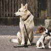Bild des Monats April 2012 - 3. Platz