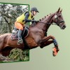 Bild des Monats April 2020 - 4. Platz