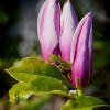 ohne Titel