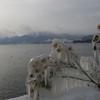 'Iceage 6'