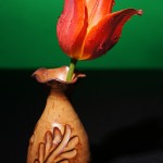 'Rote Tulpe'
