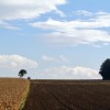 'edlach traktor am horizont'