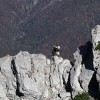 'katrin am klettersteig'