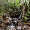 'La Réunion - Pause am Bach'