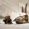 'bones'