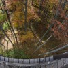 'Herbstwald'
