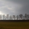 'am horizont'