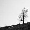 'am horizont sw'
