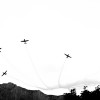 'abflug'