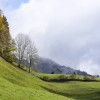 'Sanfter Herbst'