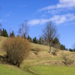 'Landschaft Frühlingserwachen'