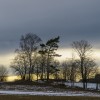 'im Abendlicht'