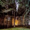 'Letztes Sonnenlicht'