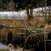 'mirror'