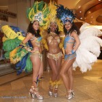 'Karneval in Rio - Fakt oder Fake'