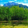 'Krottensee'