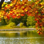 'Herbst-Stimmung am Taferlklaus-See'
