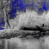 'Foto-Grafik'