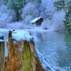 'erster Schnee'