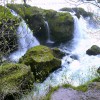 'Naturjuwel Traunfall'