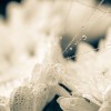 ohne Titel