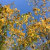 ohne Titel