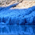 'vord langbathsee frost 1'