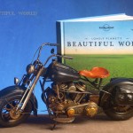 'BEAUTIFUL WORLD'