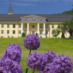 'Sommeridylle im Schloss-Park'