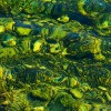 'wasser-interferenzen'