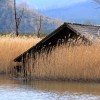 'almsee bootshaus'