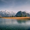 'Almsee'