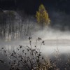 'Herbst in der Ruben '