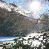 'Die Sonne im Nebeldunst'