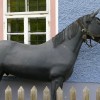 'Rappe vor Haustuer'