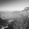 'Panorama'