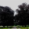 'schlosspark'